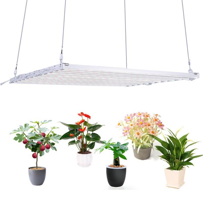深圳植物燈廠家供應600W八爪魚補光燈  八爪魚植物燈 八爪魚植物生長燈
