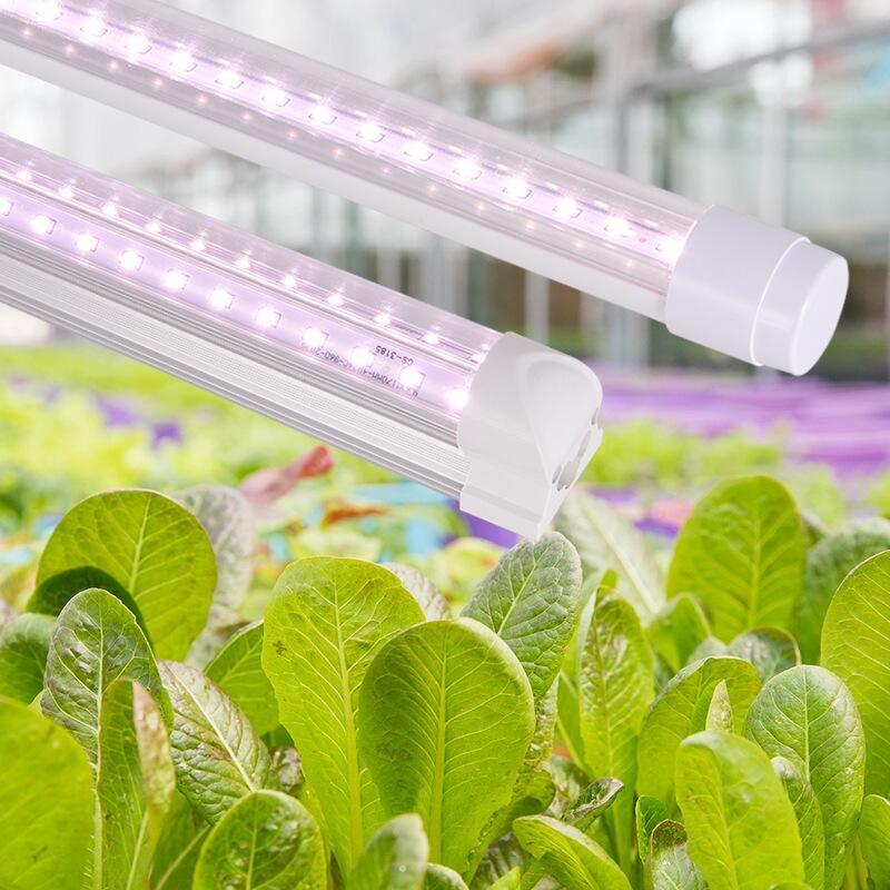 深圳led植物生長(zhǎng)燈 全光譜led植物生長(zhǎng)燈價(jià)格 植物生長(zhǎng)燈多少錢(qián)