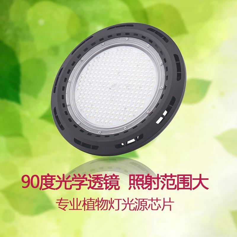 led植物廠家直銷UFO植物生長燈 50wUFO補光燈 火龍果補光燈 西紅柿補光燈