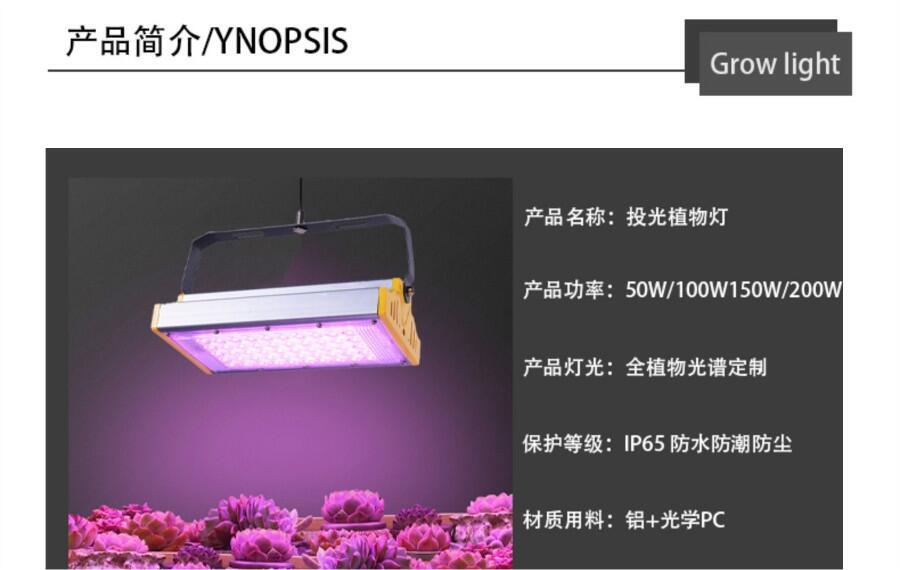 質保三年大棚西紅柿補光燈LED植物生長補光燈LED植物投光燈100W植物補光燈
