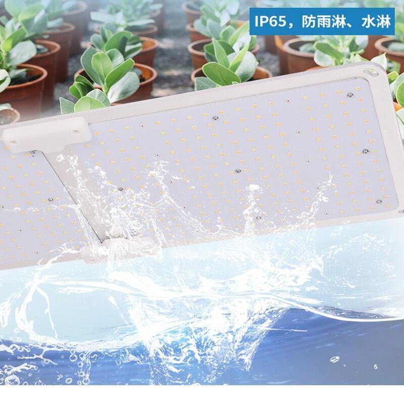 宏陽(yáng)照明批發(fā)量子板植物植物燈 200W調(diào)光量子板植物生長(zhǎng)燈三星301B燈珠 明緯調(diào)光電源
