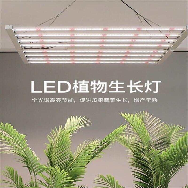植物燈對(duì)人體有沒(méi)有影響？