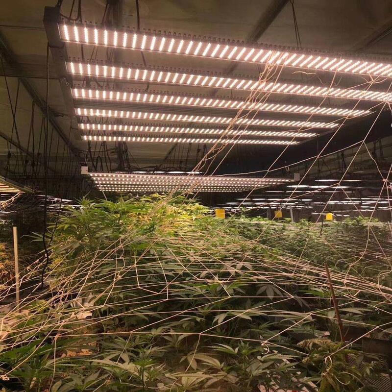 廣東八爪魚植物燈工廠出口歐美調(diào)光八爪魚植物燈 1000W八爪魚植物燈