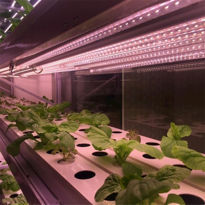 南通LED植物燈管哪家品牌好？深圳宏陽照明專業(yè)生產(chǎn)LED植物燈管 溫室LED植物燈管