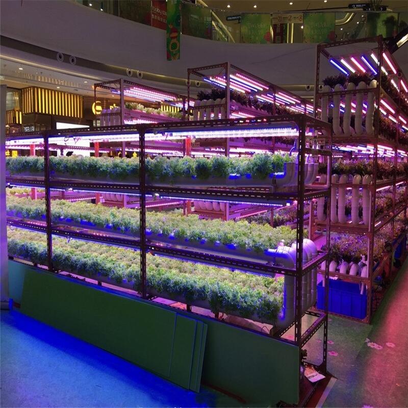 led植物生長燈多少錢？深圳宏陽照明專業(yè)生產(chǎn)和銷售植物燈廠家