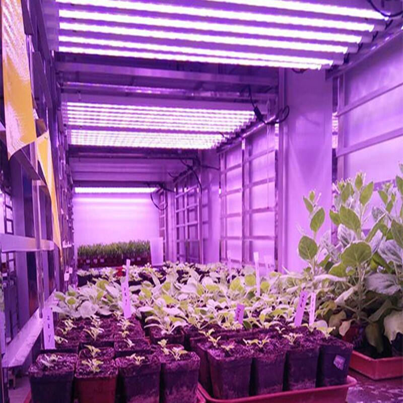 LED植物生長燈在植物補(bǔ)光時一天要照幾個小時？