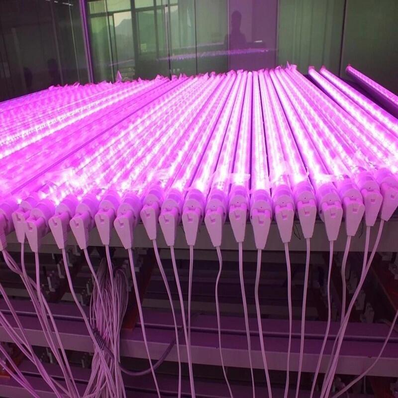 深圳植物燈廠(chǎng)家直銷(xiāo)T8全光譜植物燈管  LED植物生長(zhǎng)燈管  大棚蔬菜種植補(bǔ)光燈管