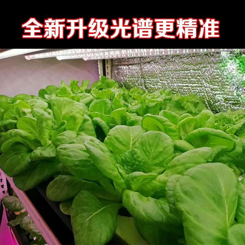 深圳植物生長(zhǎng)燈 溫室水培葉菜生長(zhǎng)燈管 大棚蔬菜種植燈 led植物生長(zhǎng)燈管