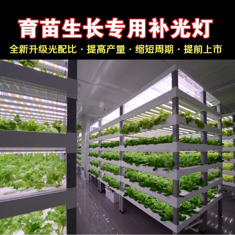 凱里植物生長燈廠家批發(fā)LED植物生長燈 1.2米植物生長燈管