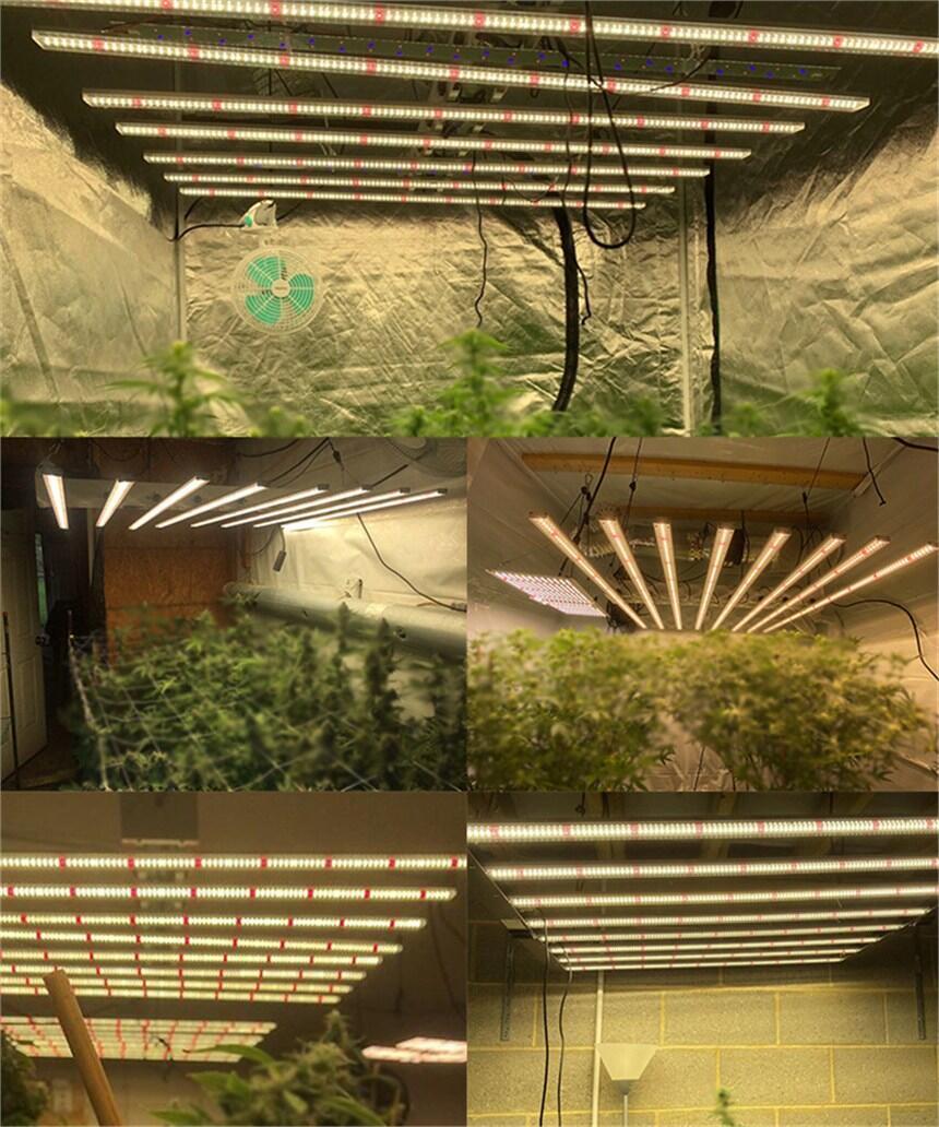 深圳八爪魚植物補(bǔ)光燈做的性價(jià)比高的廠家有幾家？