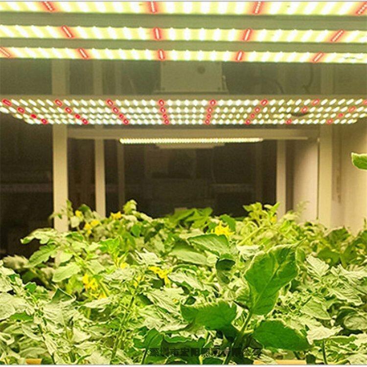 深圳植物燈廠家定做大棚八爪魚植物燈 600W八爪魚植物生長燈