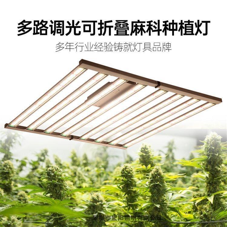 led植物燈哪個品牌好？宏陽照明專注生產(chǎn)led八爪魚植物燈