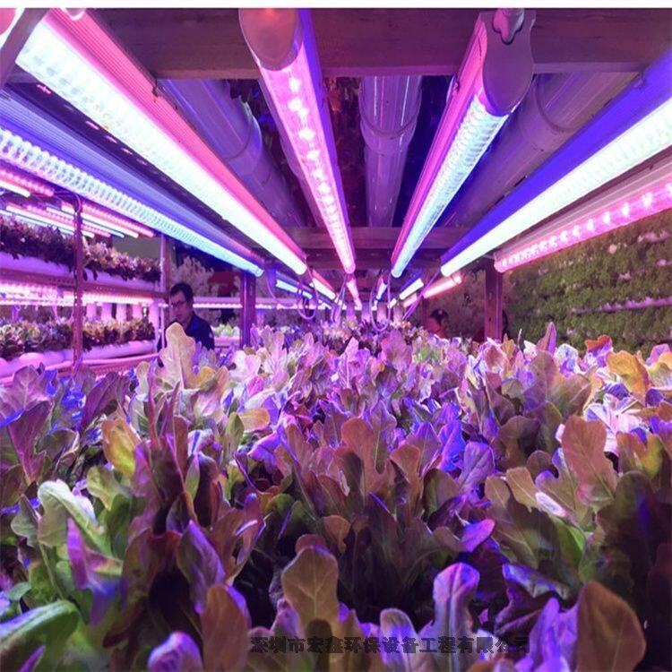 植物燈哪個(gè)品牌好？宏陽照明專注大棚溫室補(bǔ)光燈0.6米T8植物燈管 