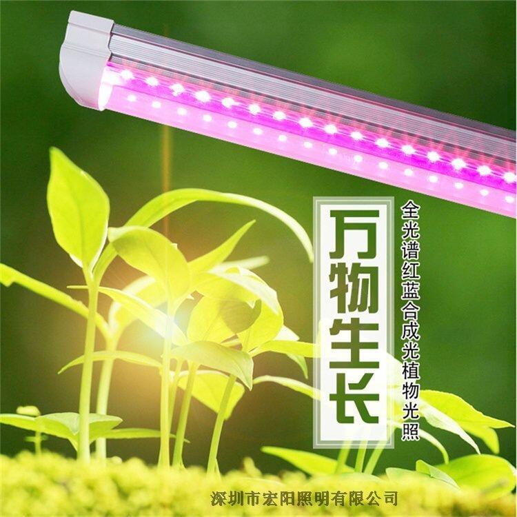植物燈哪個(gè)品牌好？宏陽照明專注大棚溫室補(bǔ)光燈2.4米T8植物燈管 