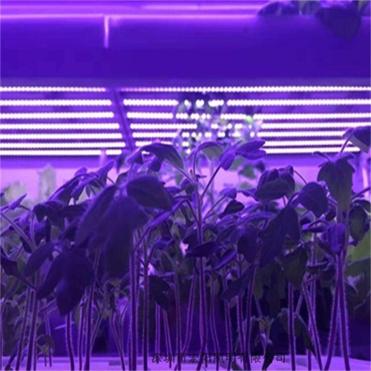 0.6米植物生長(zhǎng)燈管 大棚西紅柿生長(zhǎng)燈管 溫室西紅柿生長(zhǎng)燈管