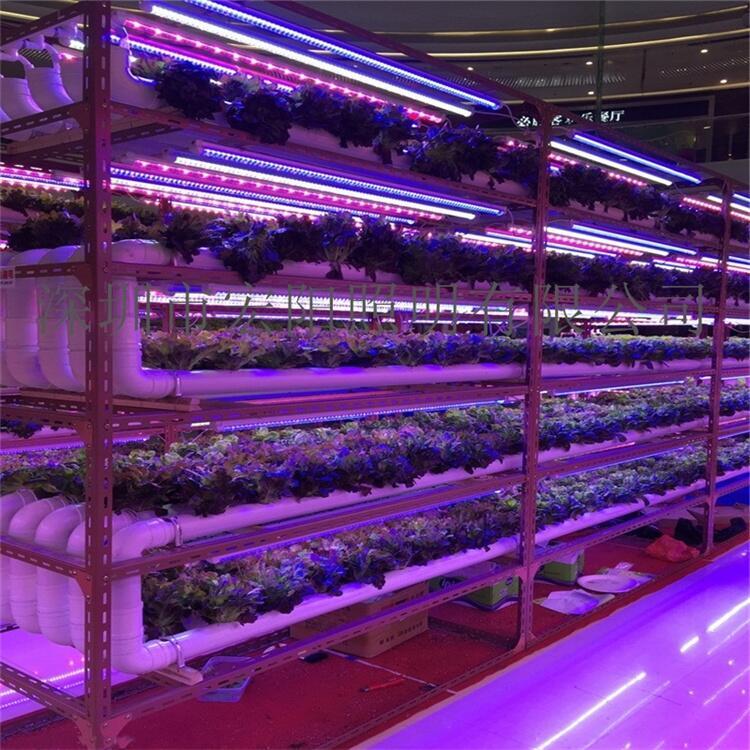 植物生長燈哪個牌子好？1.5米防水植物生長燈管 T8全光譜植物燈管 