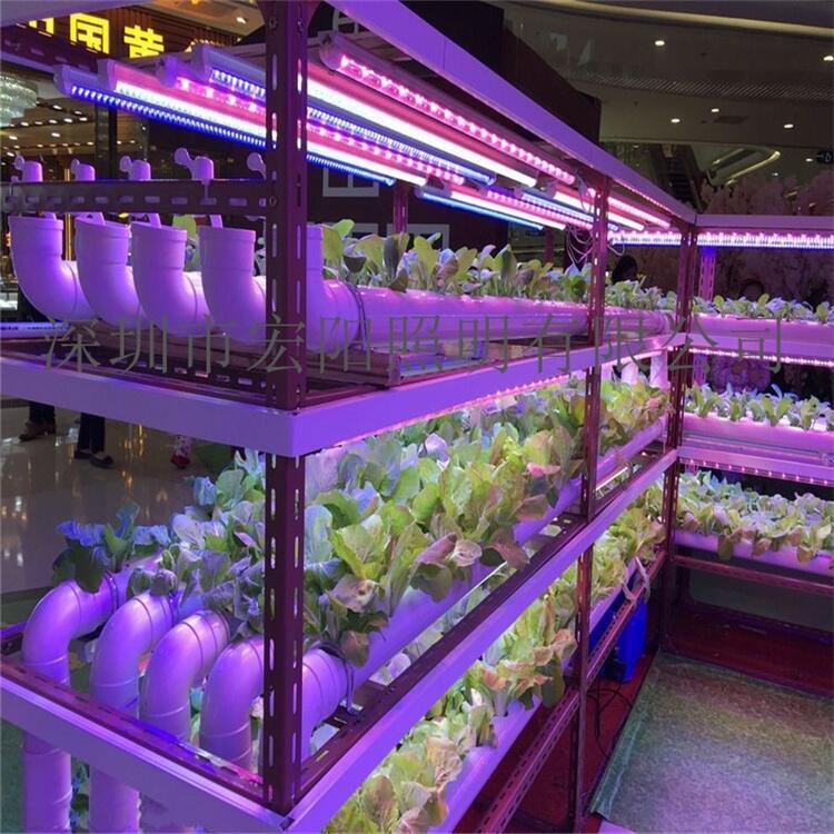天津采購(gòu)植物燈	天津采購(gòu)LED植物燈	天津植物燈采購(gòu)