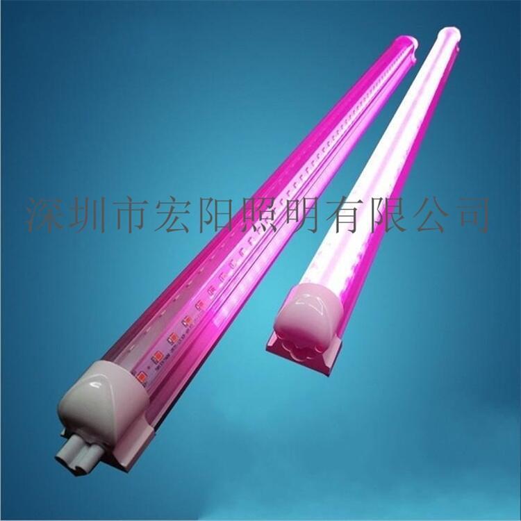 淮南采購(gòu)植物燈	淮南采購(gòu)LED植物燈	淮南植物燈采購(gòu)