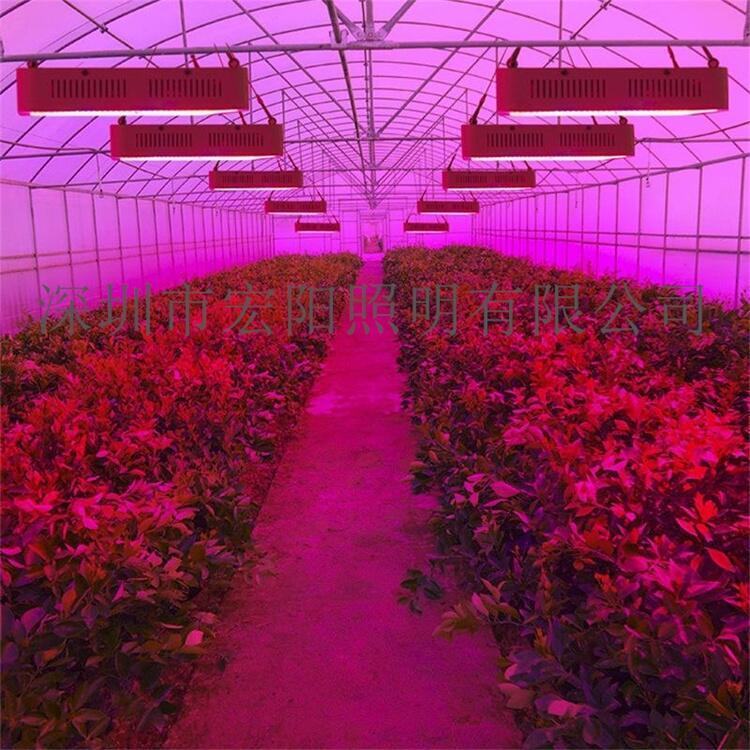延安植物燈制造廠	延安植物燈制造廠家	延安LED植物燈