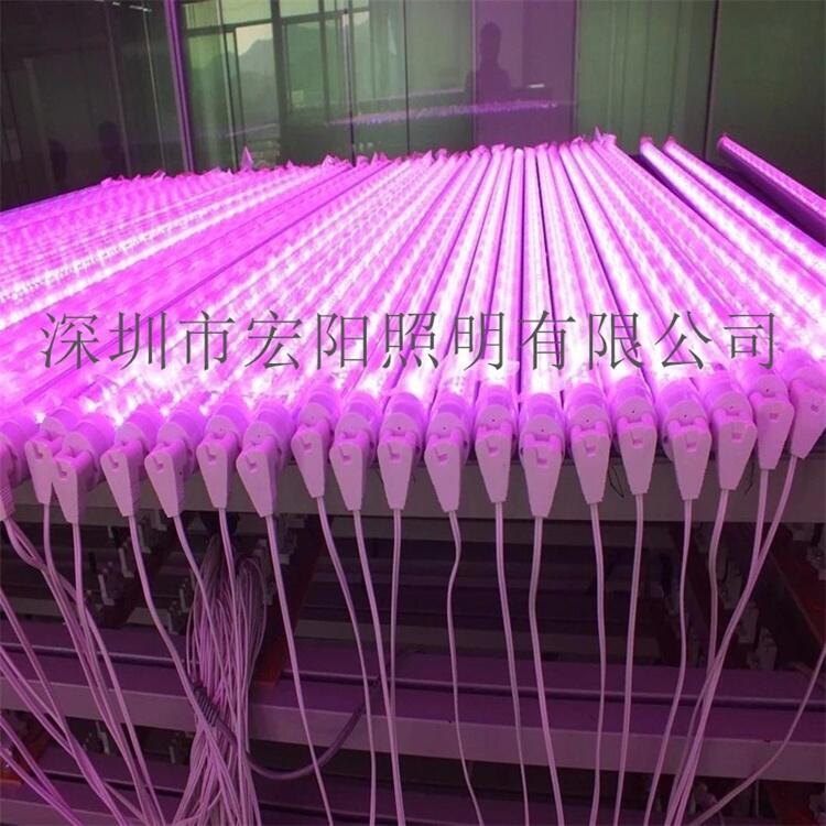 植物生長燈廠家供應1.5米48W防水植物燈管 T8分體植物燈管 led植物生長燈管