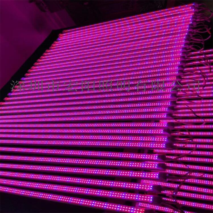 光明植物燈制造廠	光明植物燈制造廠家	光明LED植物燈