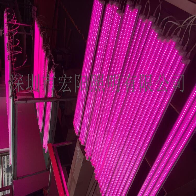 北京采購(gòu)植物燈	北京采購(gòu)LED植物燈	北京植物燈采購(gòu)