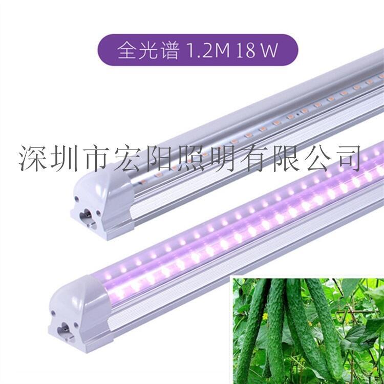 植物生長(zhǎng)燈多少錢？2.4米防水植物生長(zhǎng)燈管 T8植物補(bǔ)光燈管