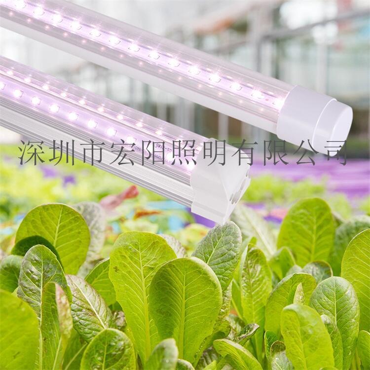 深圳植物燈廠家供應(yīng)LED生長(zhǎng)燈管 蔬菜生長(zhǎng)燈 1.2米植物燈管