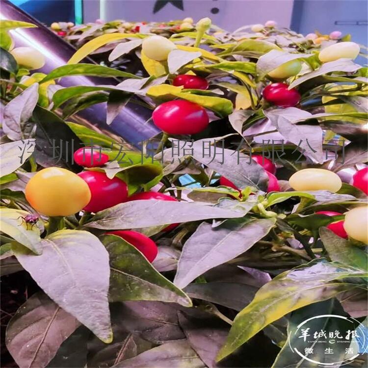 渭南LED植物燈工廠	渭南LED植物燈廠	渭南LED植物燈廠家