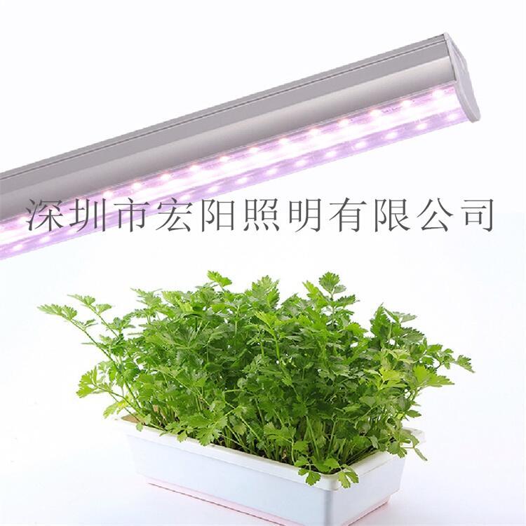 植物補光燈哪個品牌好？1.2米防水植物補光燈管 T8全光譜植物燈管 