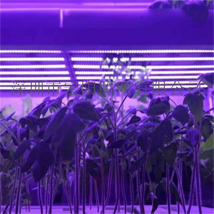 深圳植物燈管廠家供應(yīng)0.9米13W植物燈管 T8植物生長燈管 led植物生長燈管