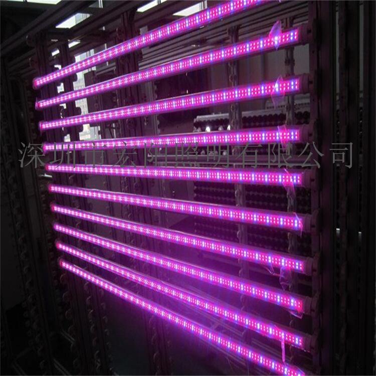 陜西LED植物燈工廠	陜西LED植物燈廠	陜西LED植物燈廠家