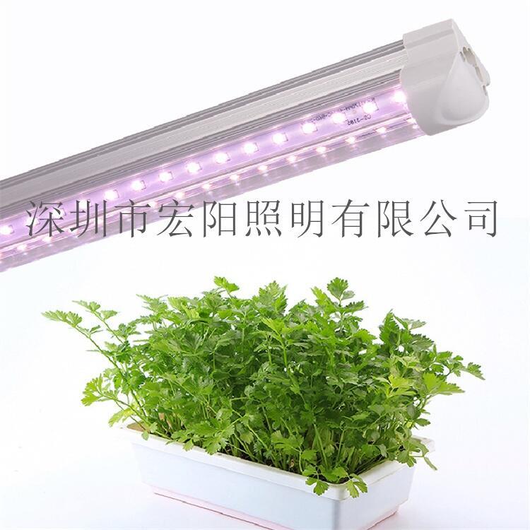 植物生長(zhǎng)燈多少錢？1.2米防水植物生長(zhǎng)燈管 T8植物補(bǔ)光燈管