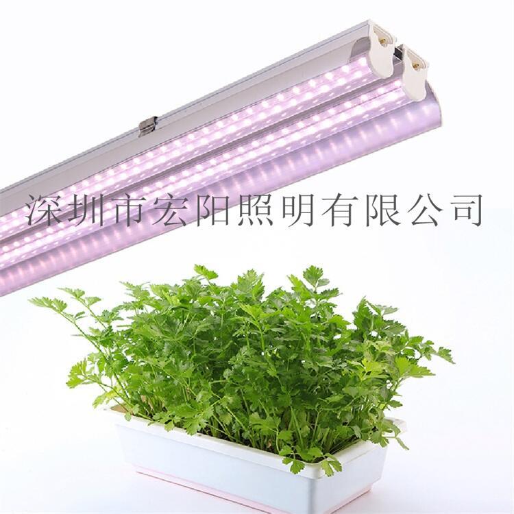深圳植物燈管廠家供應(yīng)1.5米24W植物燈管 T8植物生長燈管 led植物生長燈管