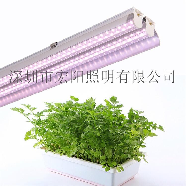 植物生長燈廠家供應1.5米24W防水植物燈管 T8分體植物燈管 led植物生長燈管