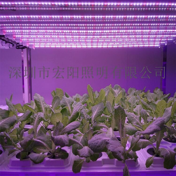 植物燈廠家批發(fā)大棚溫室生長(zhǎng)燈管 蔬菜生長(zhǎng)燈管 led植物燈