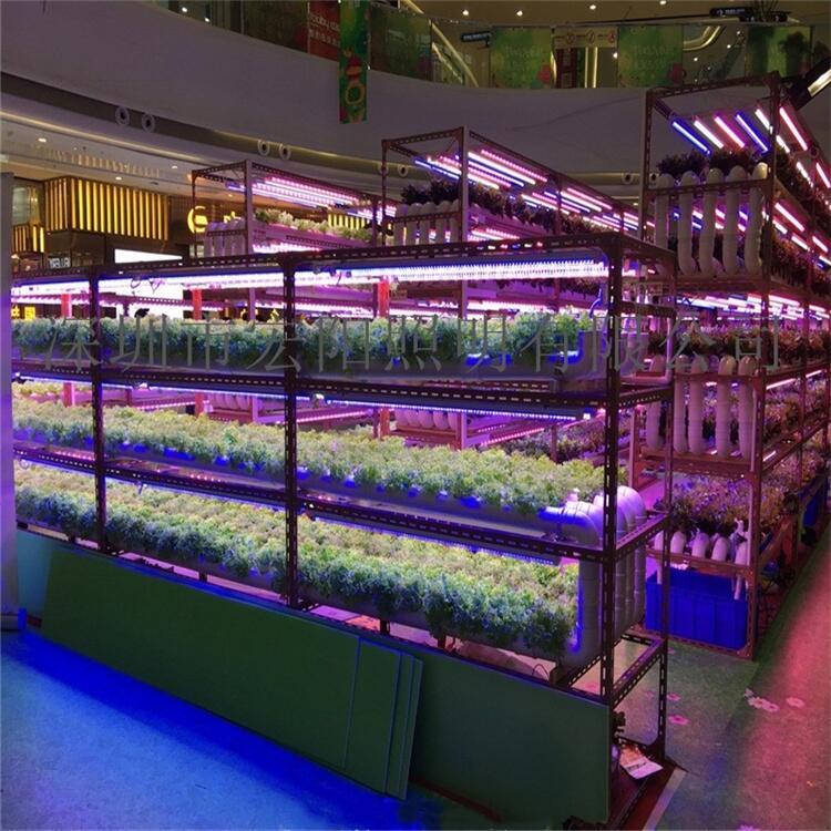 蕪湖采購(gòu)植物燈	蕪湖采購(gòu)LED植物燈	蕪湖植物燈采購(gòu)