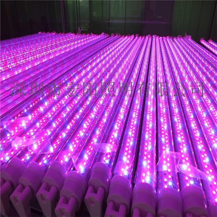 led植物生長(zhǎng)燈管哪家做的好？深圳植物燈管廠家有哪些？