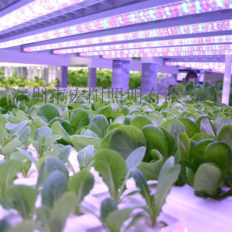 1.2米植物生長(zhǎng)燈管 36W植物生長(zhǎng)燈管 大棚植物生長(zhǎng)燈