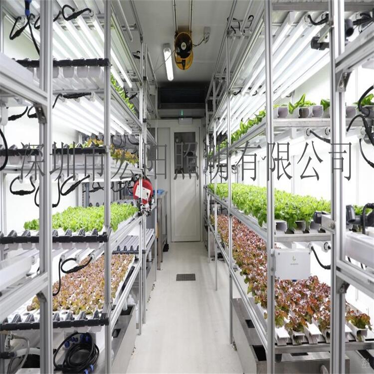 深圳植物燈管廠家供應(yīng)0.6米9W植物燈管 T8植物生長燈管 led植物生長燈管