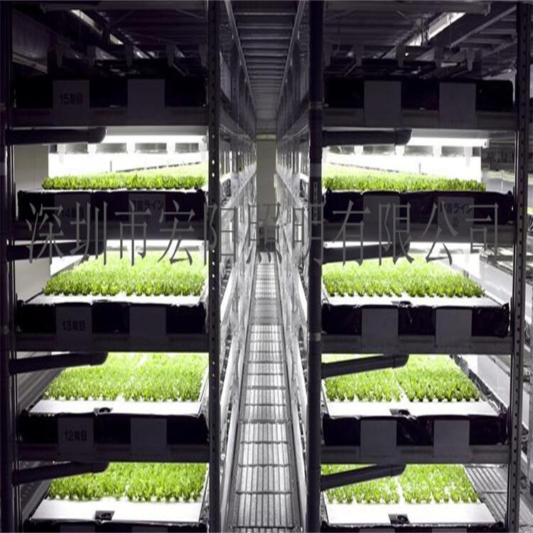 植物補光燈哪個品牌好？0.9米防水植物補光燈管 T8植物補光燈管 