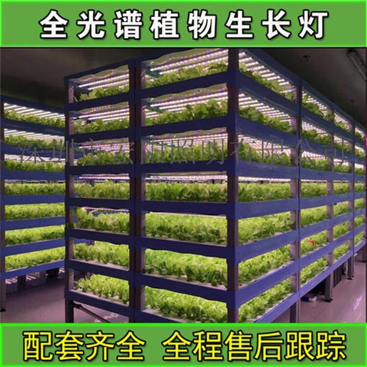 led植物生長燈廠家供應(yīng)2.4米65W防水植物燈管 T8植物生長燈管 led植物生長燈管