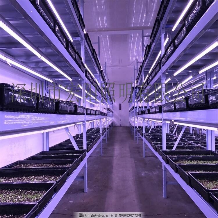 植物補光燈哪個品牌好？1.5米防水植物補光燈管 T8植物補光燈管