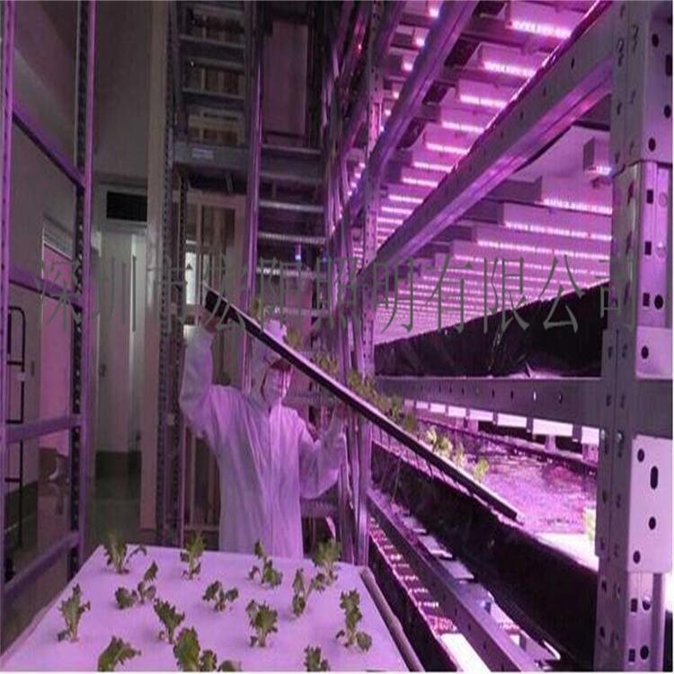 植物生長(zhǎng)燈管多少錢(qián)？0.6米18W防水植物燈管 T8植物燈管