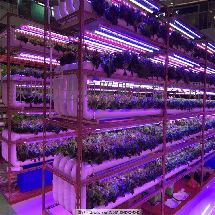 植物生長(zhǎng)燈多少錢？1.2米防水植物生長(zhǎng)燈管 T8全光譜植物燈管 