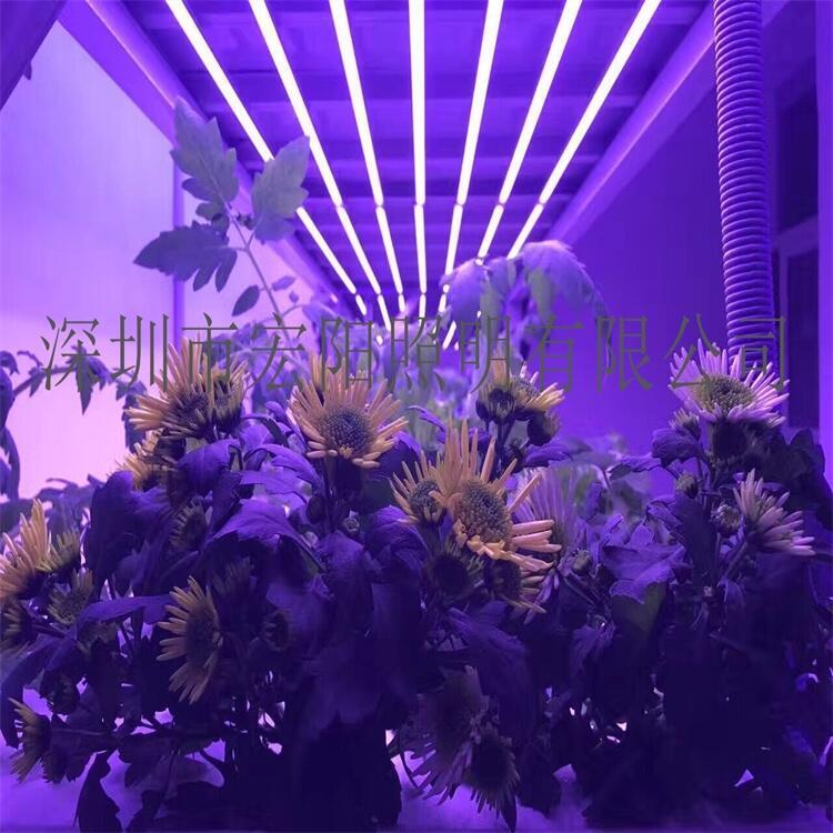 蘇州植物生長燈管 永安植物燈管 揚(yáng)州LED植物燈