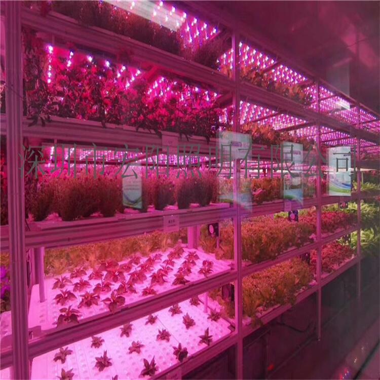 連云港植物生長燈管 常州植物燈管 淮安LED植物燈