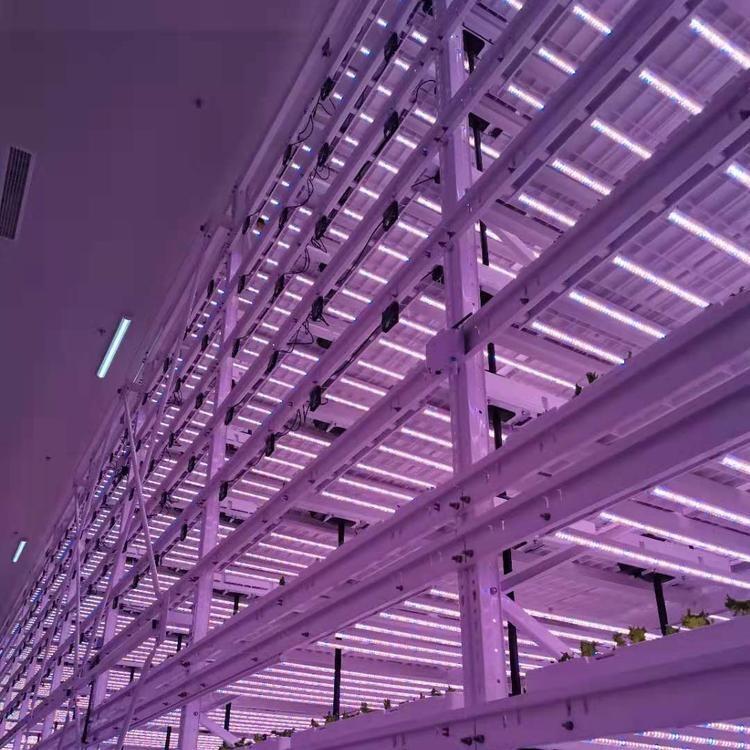 上海植物生長燈管 宿遷植物燈管 天津LED植物燈