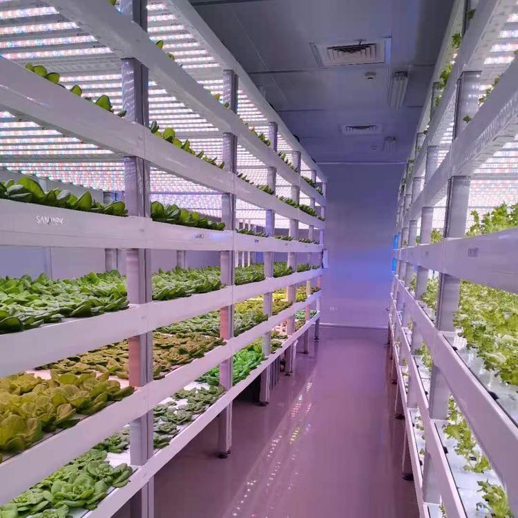 植物補光燈哪個品牌好？0.6米防水植物補光燈管 T8植物補光燈管 