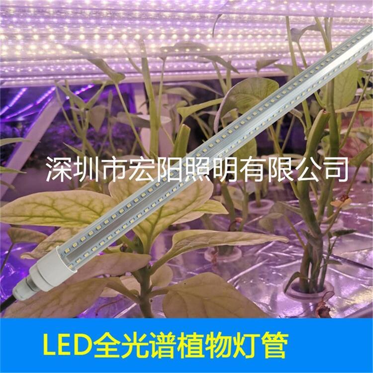 植物生長燈廠家供應0.9米28W防水植物燈管 T8分體植物燈管 led植物生長燈管
